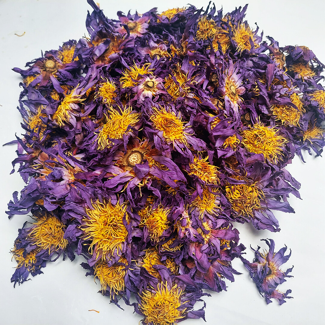 Dehydrated Blue Lotus Flower (Nymphaea Caerulea) Deep Dreams Tea Stress Relief