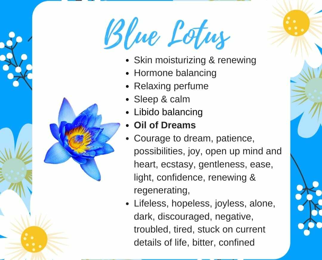 Natural Organic Dried Blue Lotus Nymphaea Caerulea Flower 100% Herbal Tea 50g.