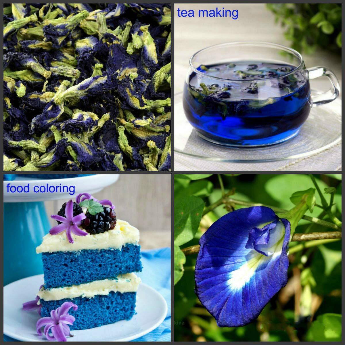 Butterfly Pea Flower Tea 100g – Ideal for 500 cups or more, Premium Dried Flower