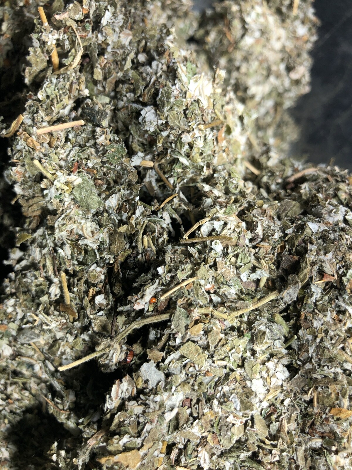 Organic Red Raspberry Leaf Wild Crafted Cut Bulk Herb Rubus Idaeus ounce pound