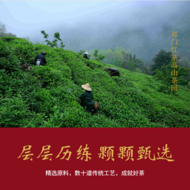 HelloYoung Keemun Black Tea 100g Premium Gongfu Hong Cha Rich Aroma Daily Brew