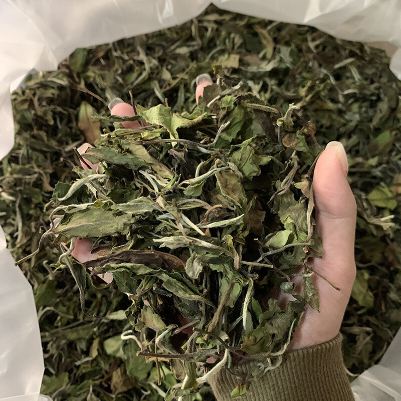 White Peony Tea 500g Premium Fuding White Tea Aged 2012 Jujube Aroma Tea