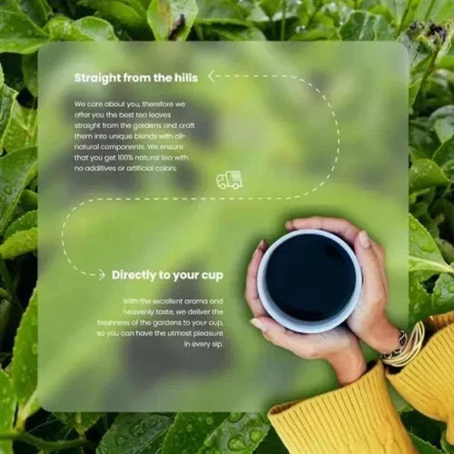 HEALTHY & HYGIENE PCOS Herbal Tea 100g