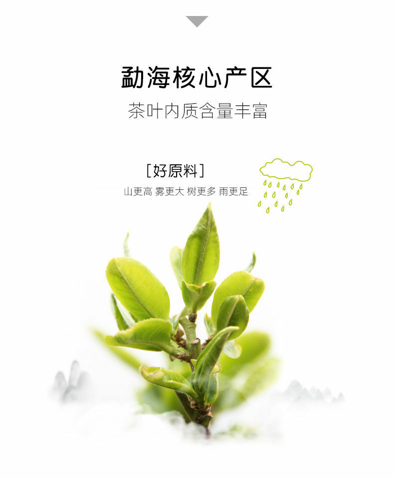 Haiwan Old Comrade Laotongzhi 908 Ripe Pu’er Tea Shu Puer Mini Cake 240g