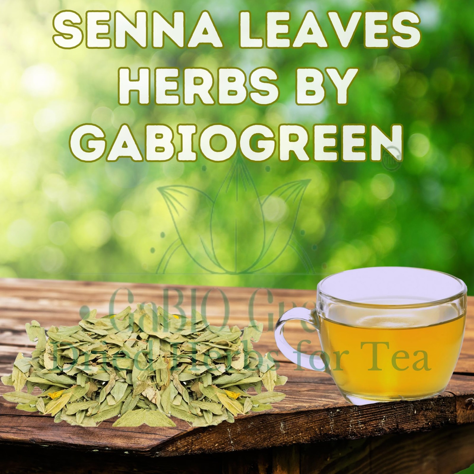 Natural Senna Leaves Hoja Sen Dried Herbal Leaves, Senna Raw Leaf, Hoja Sen C…