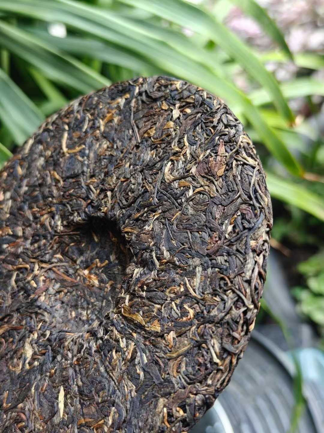 1990s Vintage Tianmenshan Tall Tree Raw Puerh Tea Cake, Tongchang Huangji 380g