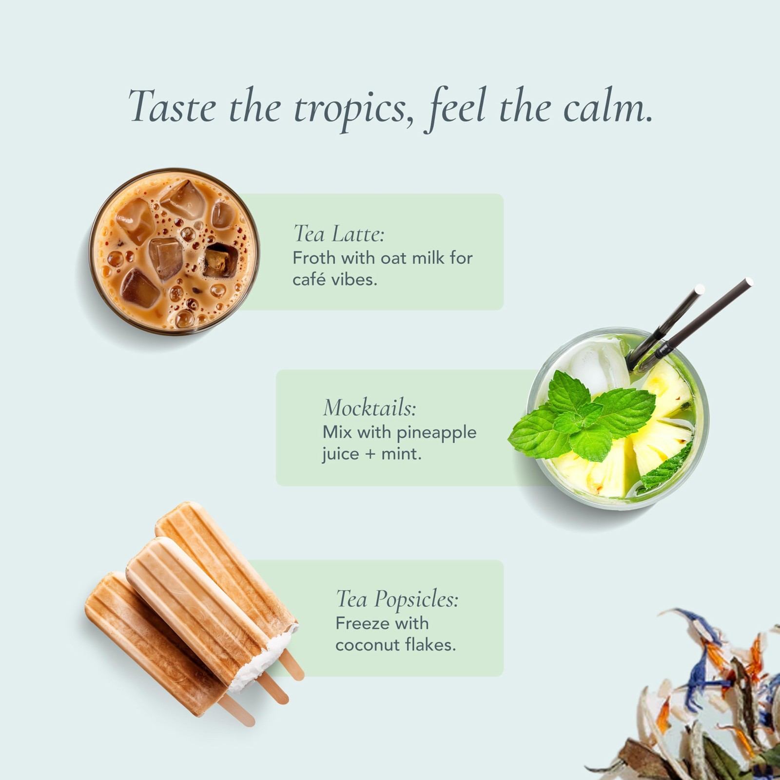 Art of Tea | Organic White Coconut Crème | 12 Count Eco Friendly Sampler Box