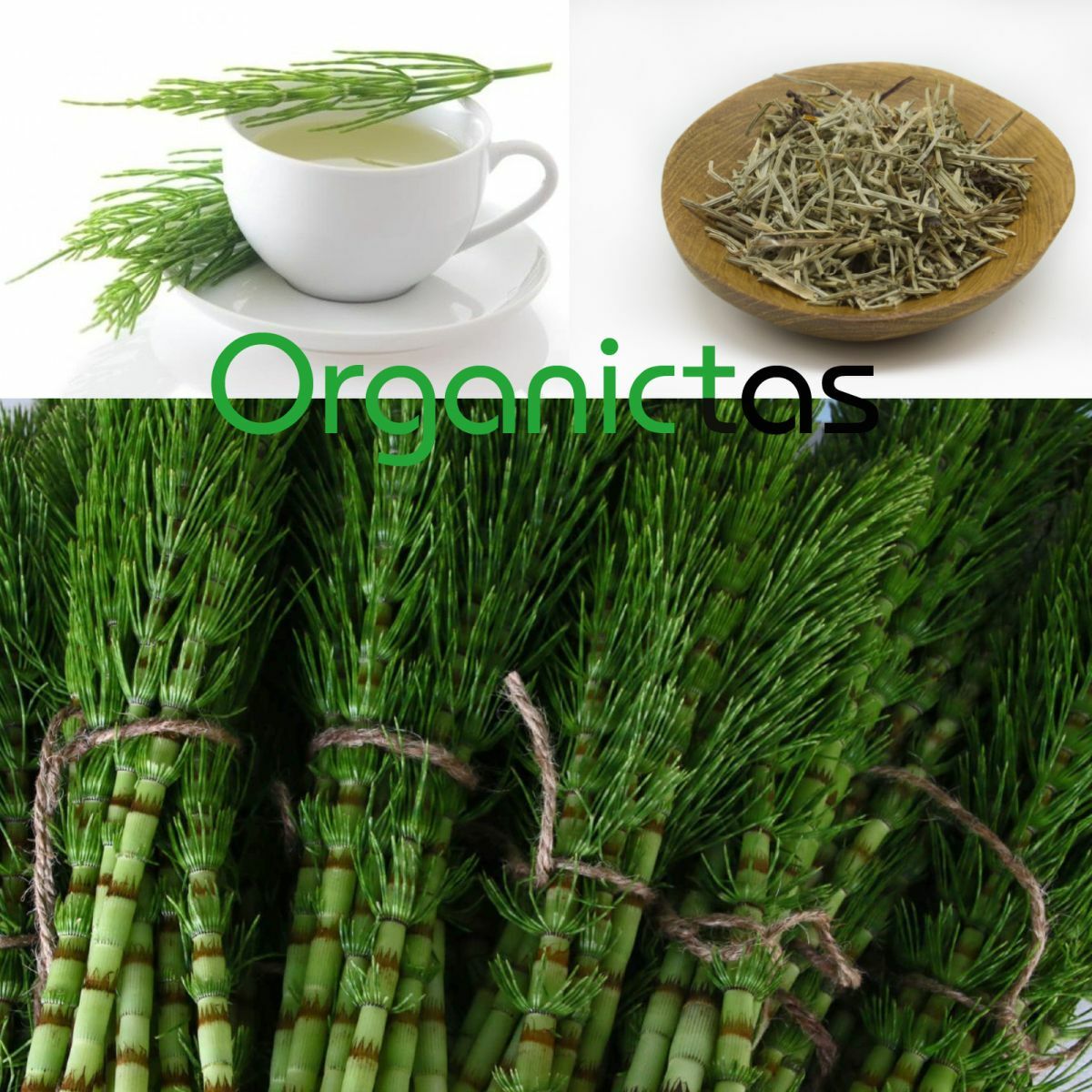 HORSETAIL Tea Organic Dried Cut Loose Wild Harvested Premium Herbal Quality