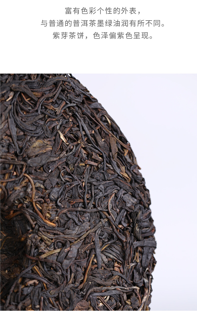 Yunnan Pu’er Tea Purple Bud 2020 Haiwan Comrade Puer Raw 357g Gelanghe Old Tree