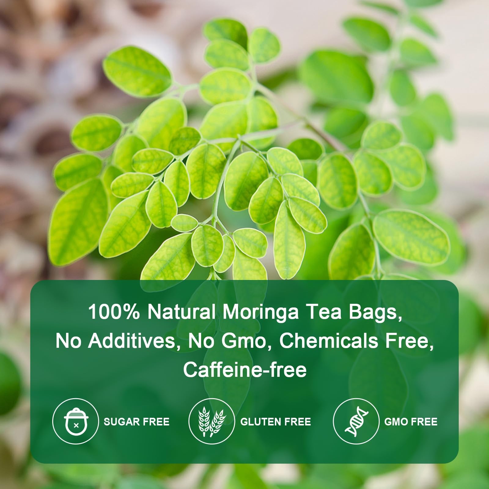 Moringa Tea Bags | 100% Pure Moringa Leaf Tea | Antioxidant-Rich, Caffeine-Te…