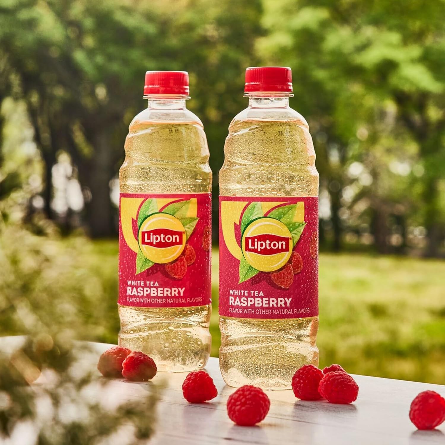 12 Bottles of Raspberry White Iced Tea – Natural, Refreshing, and Allergen-Free