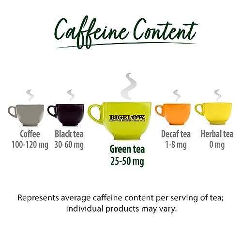 Bigelow Green Tea with Elderberry and Vitamin C 18 Count Pack of 6 Tea Bags