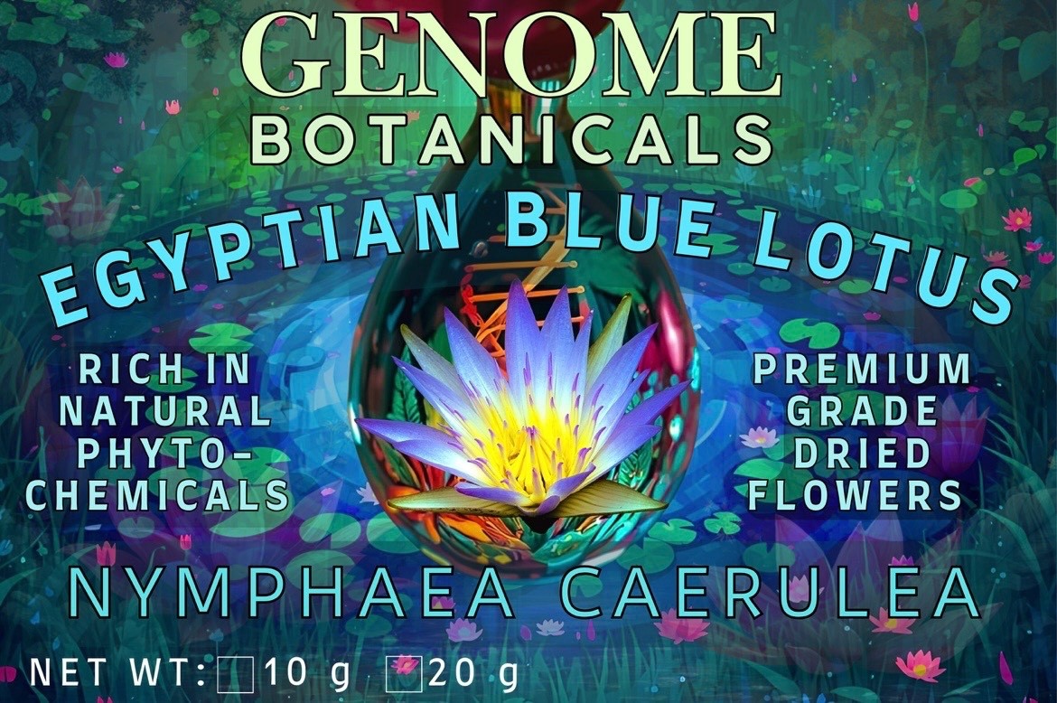 Egyptian Blue Lotus | Nymphaea Caerulea | Dried Whole Flowers