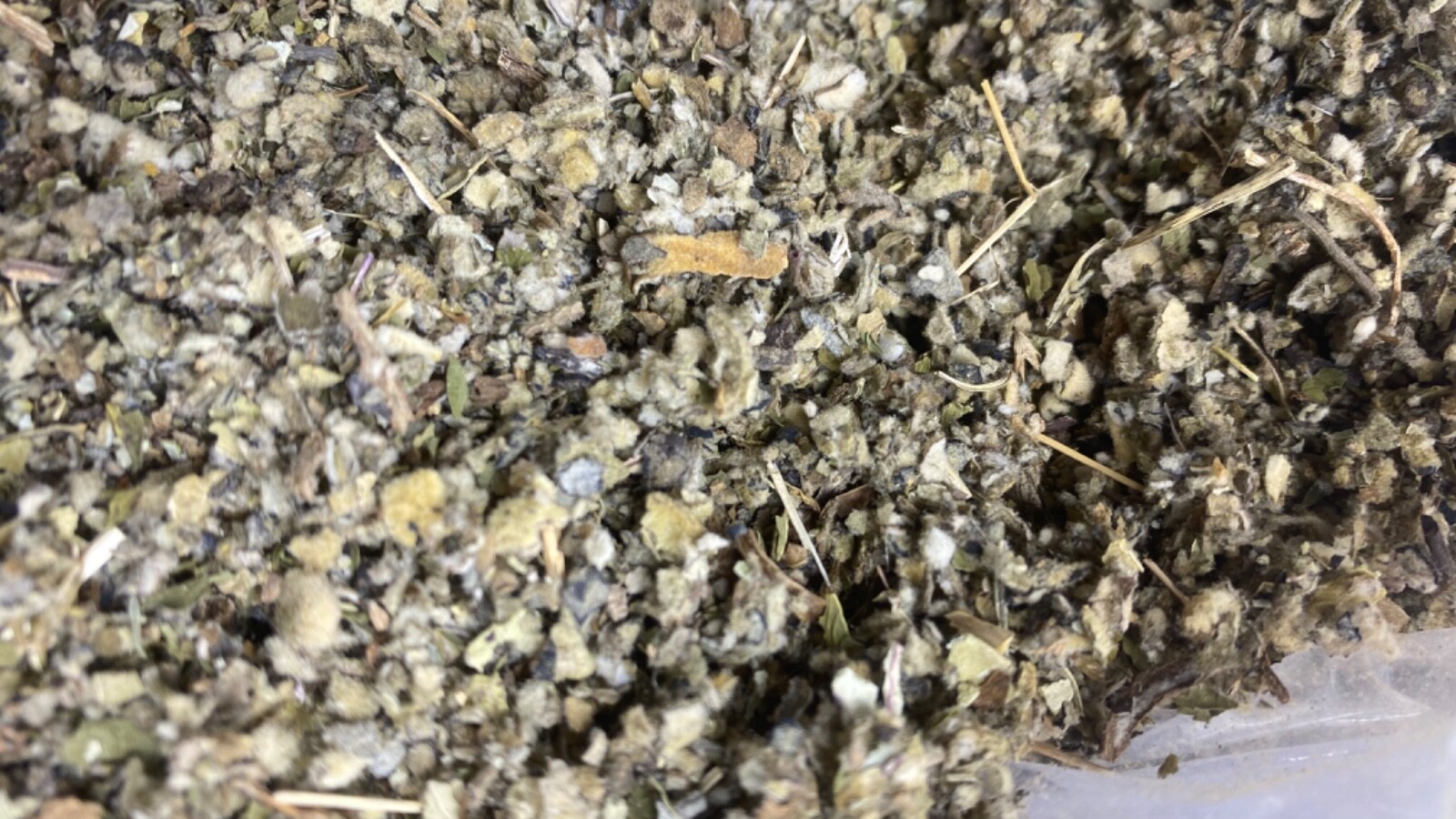 COLTSFOOT MULLEIN PEPPERMINT LOBELIA organic bulk herb blend mix 1 2 4 8 oz lb