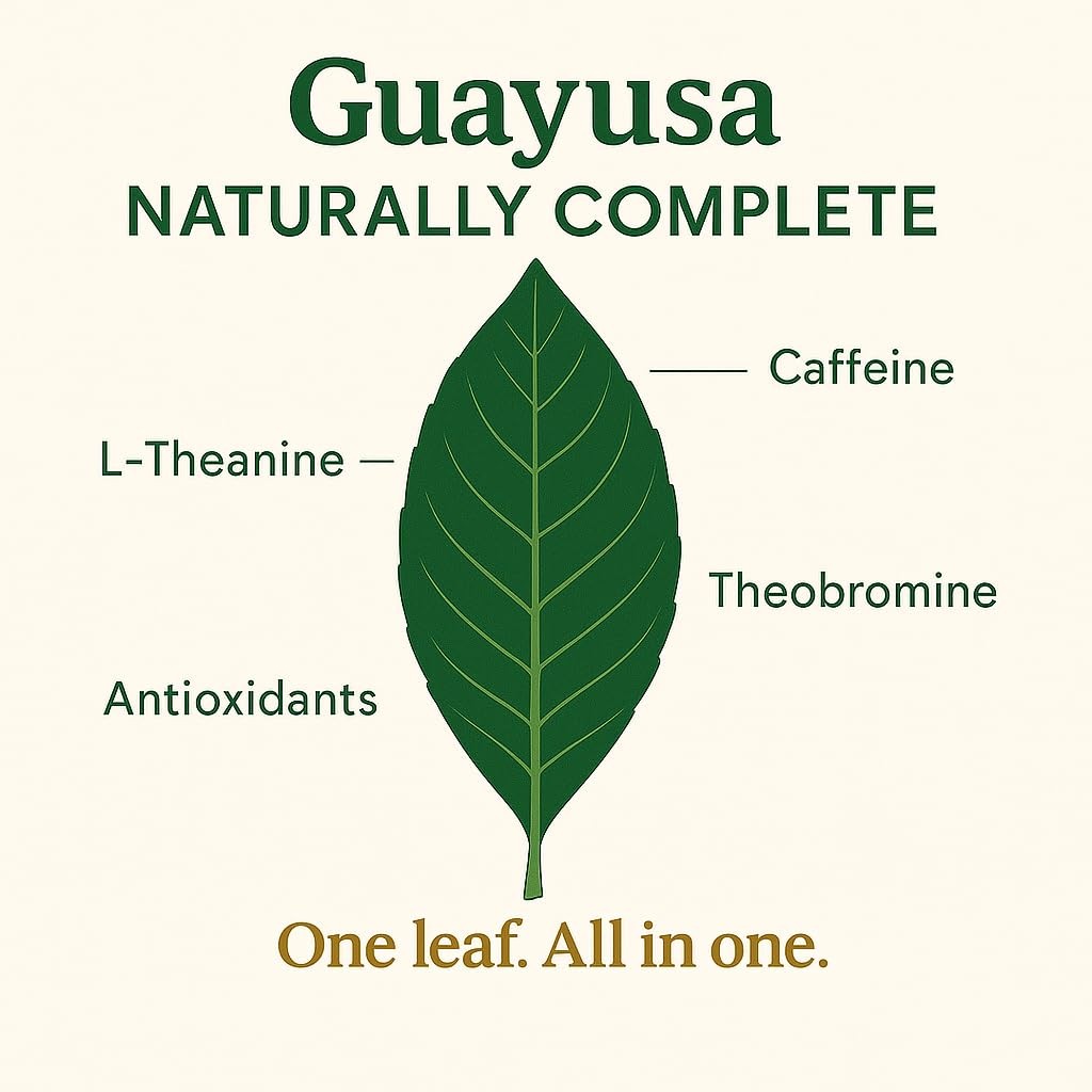 Guayusa Loose Leaf Tea by PACHA | 66mg Caffeine | Naturally High in Antioxida…