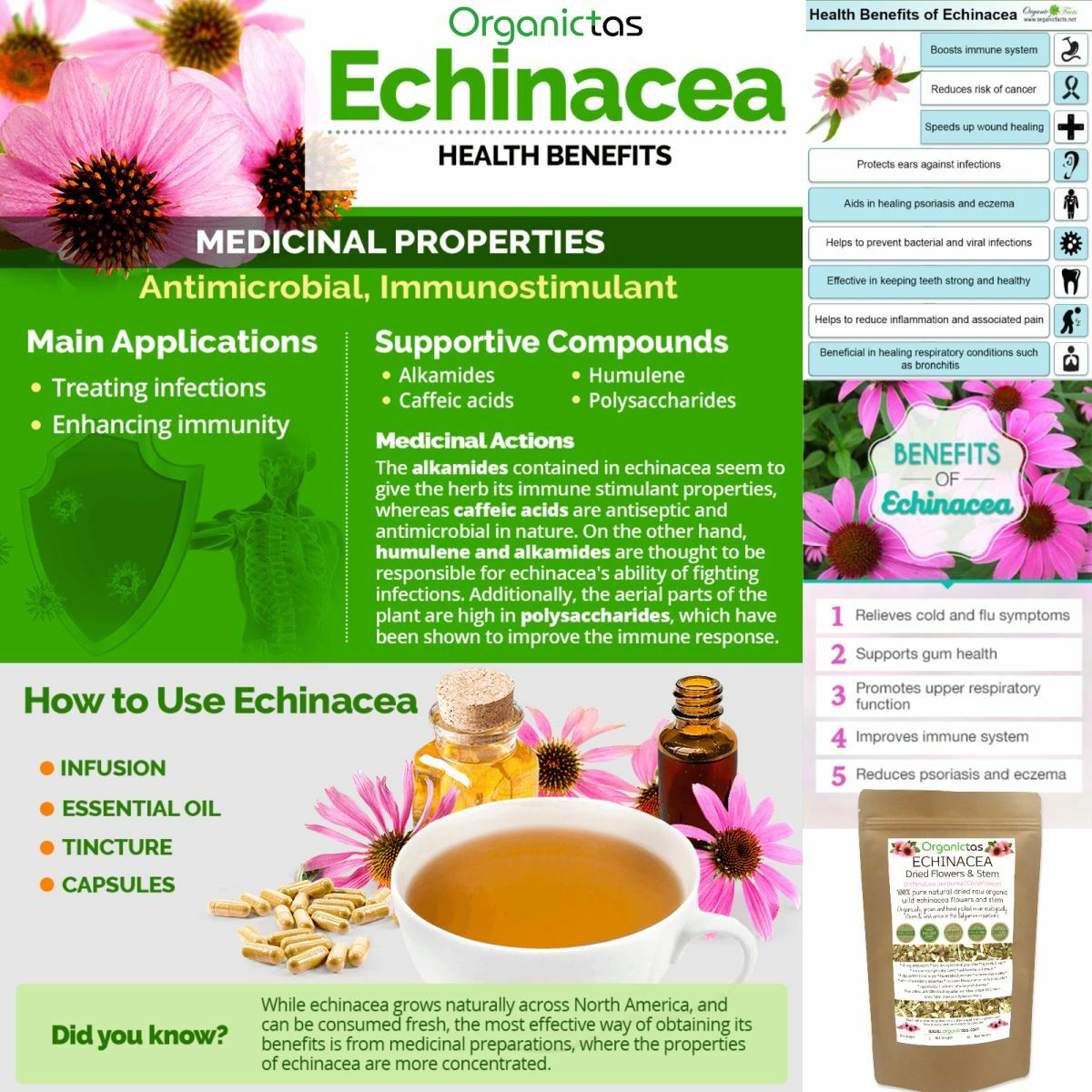 Organic Echinacea Loose Tea, 100% Pure Purple Coneflower (Echinacea purpurea)