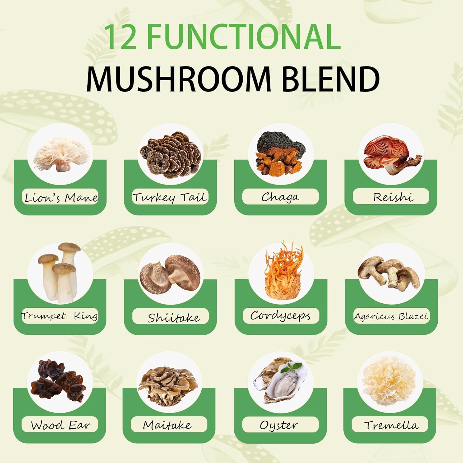 Mushroom Matcha with 12 Mushrooms with Lion’s Mane, Chaga and Matcha Powder