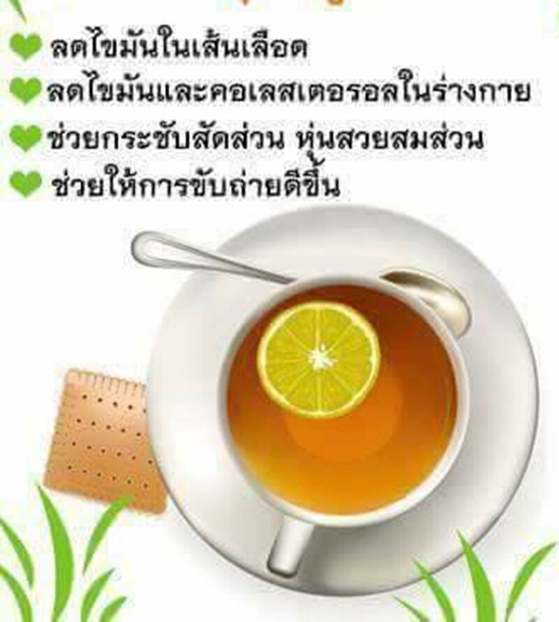 10 Pcs 150 Tea Bag Moringa Oleifera Lamk Thai Herbal Tea For Health Eye For Bone