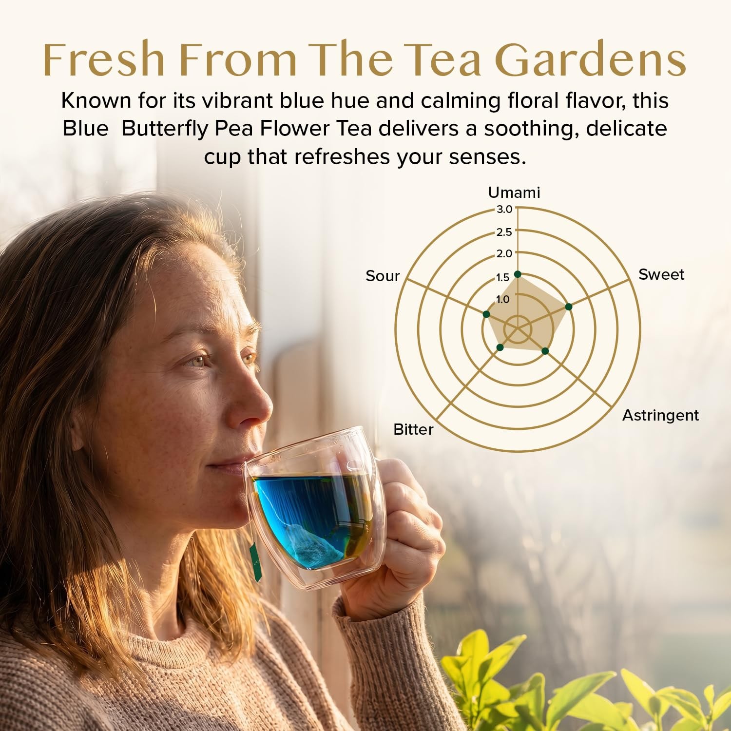 Butterfly Pea Flower Tea Bags 40 Pyramid Teabags Vegan, NonGMO | Delicate &…