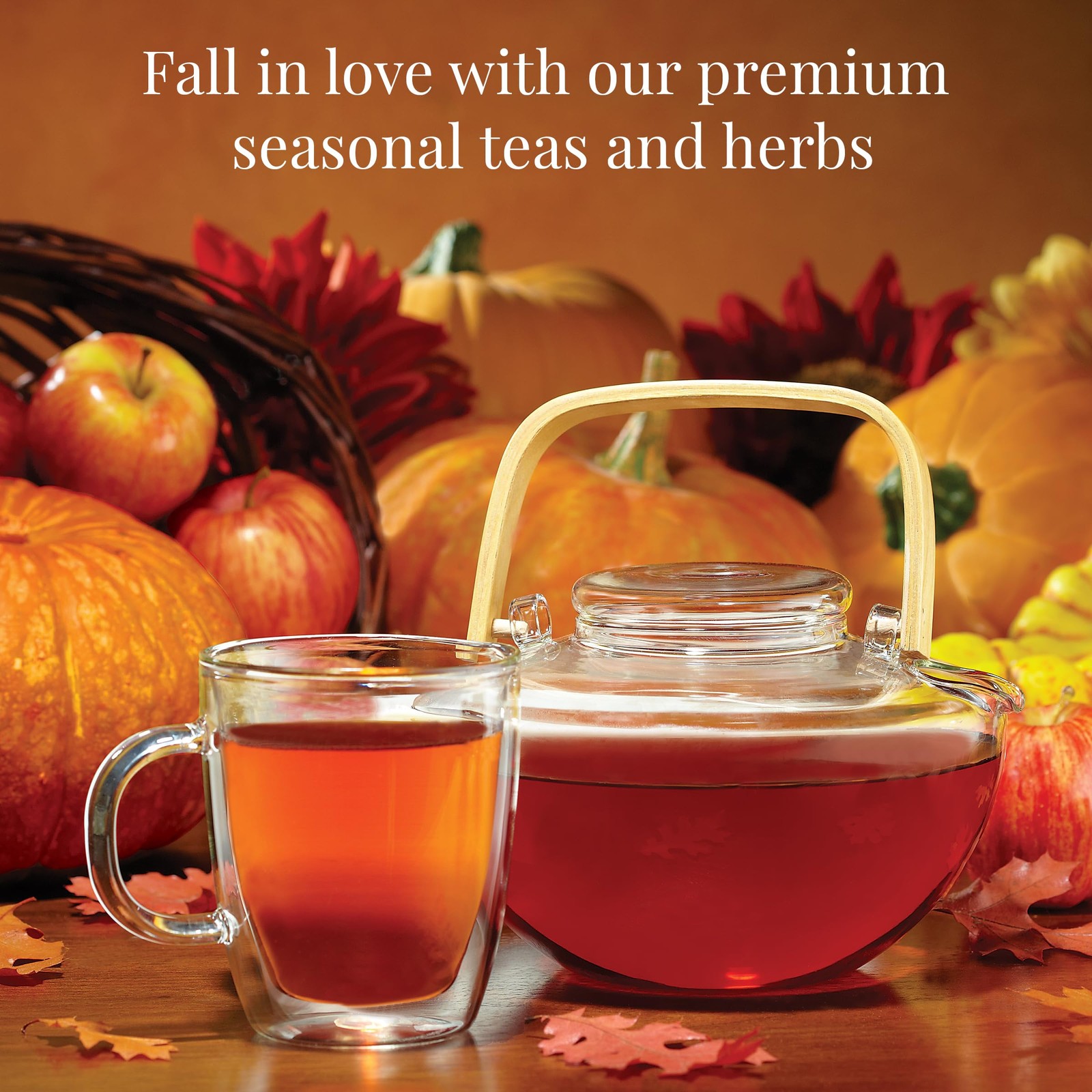 The Republic of Tea: Fall Harvest Tea Assortment Cube, 24 Count (Pack 1)