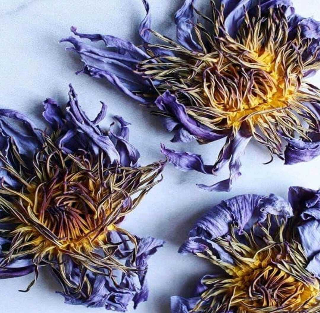 Natural Organic Dried Blue Lotus Nymphaea Caerulea Flower 100% Herbal Tea 50g.