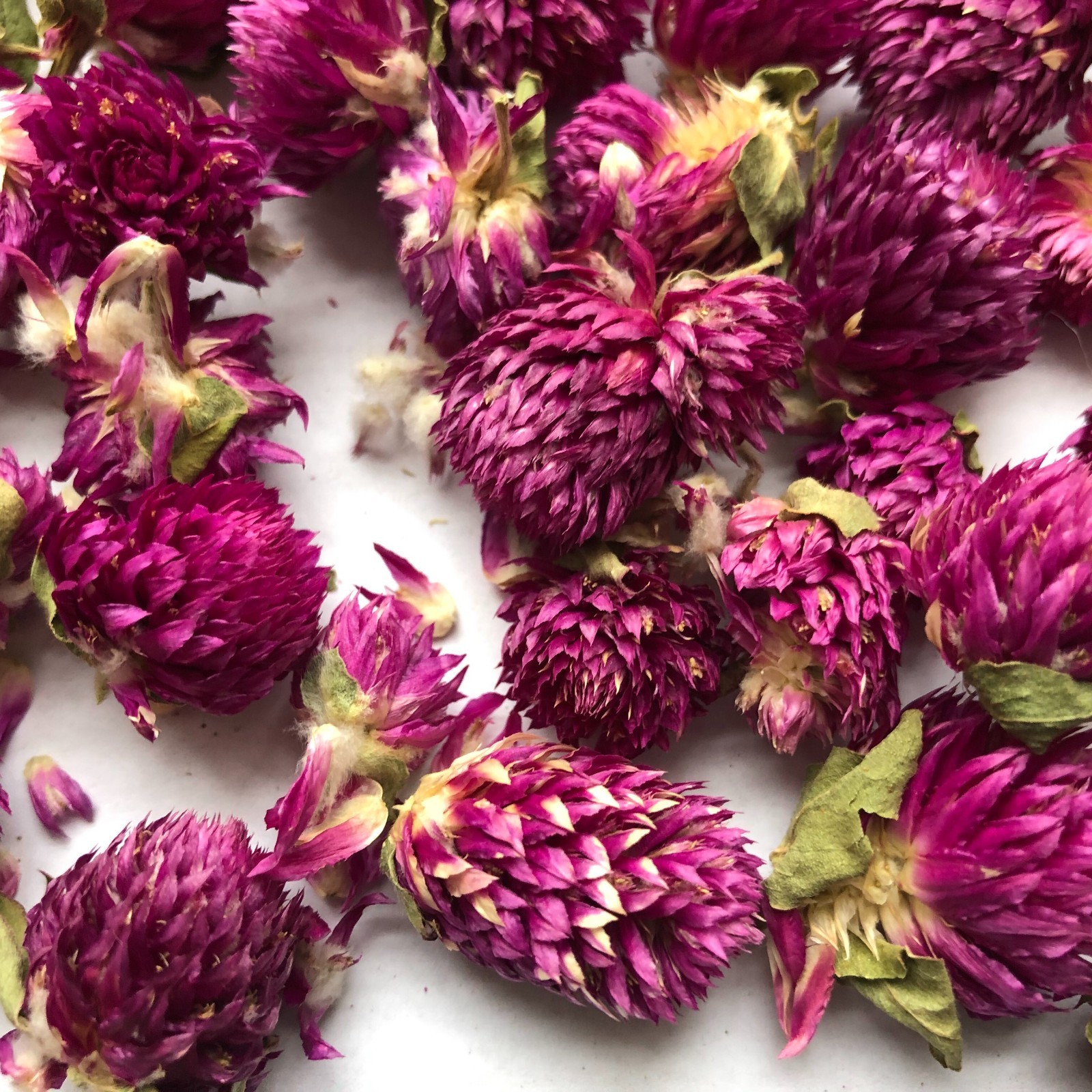 US SELLER! 8oz Food Grade Dried Loose Globe Amaranth Gomphrena Flower Herbal Tea