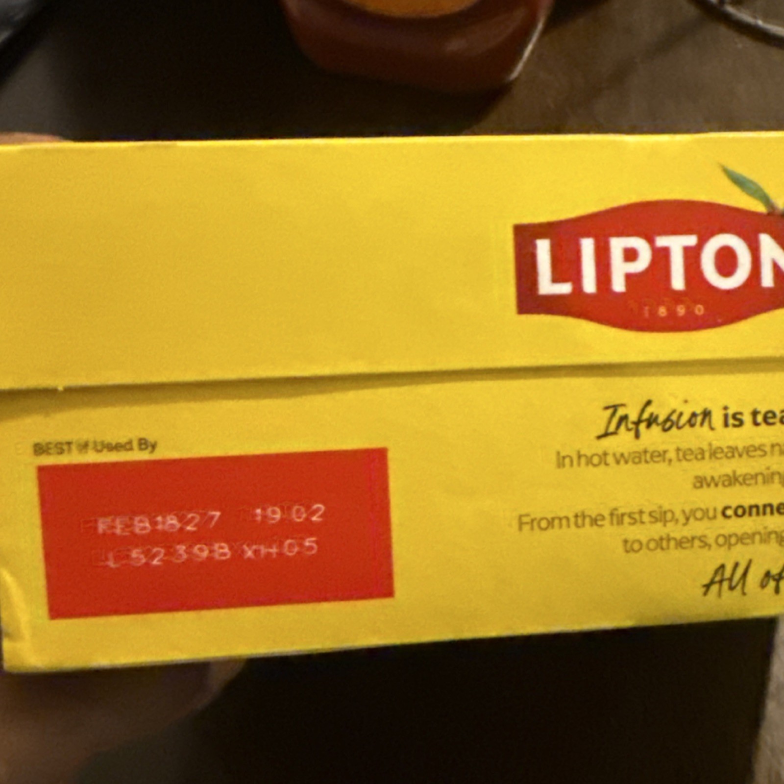 Lipton Yellow Label Black Tea Bagged Tea & Infusion 100 Bags 226g Kosher Pantry