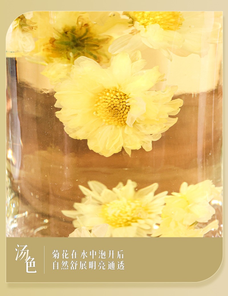 70g West Lake Hangzhou White Chrysanthemum Tongxiang Special Grade Herbal Tea