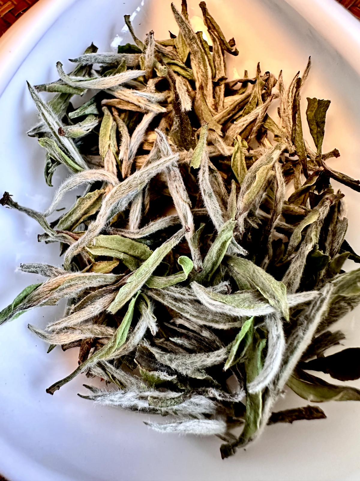 2025 Wild White Peony King Bai Mu Dan | Fuding Spring Loose Leaf White Tea 1 oz