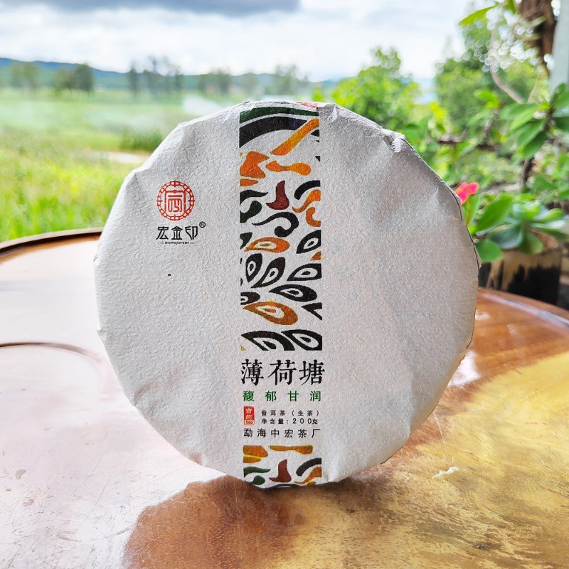 200g Spring Tea Yi Wu Mint Pond Ancient Tree Tea 2021 Raw Tea Pu’er Tea Cake