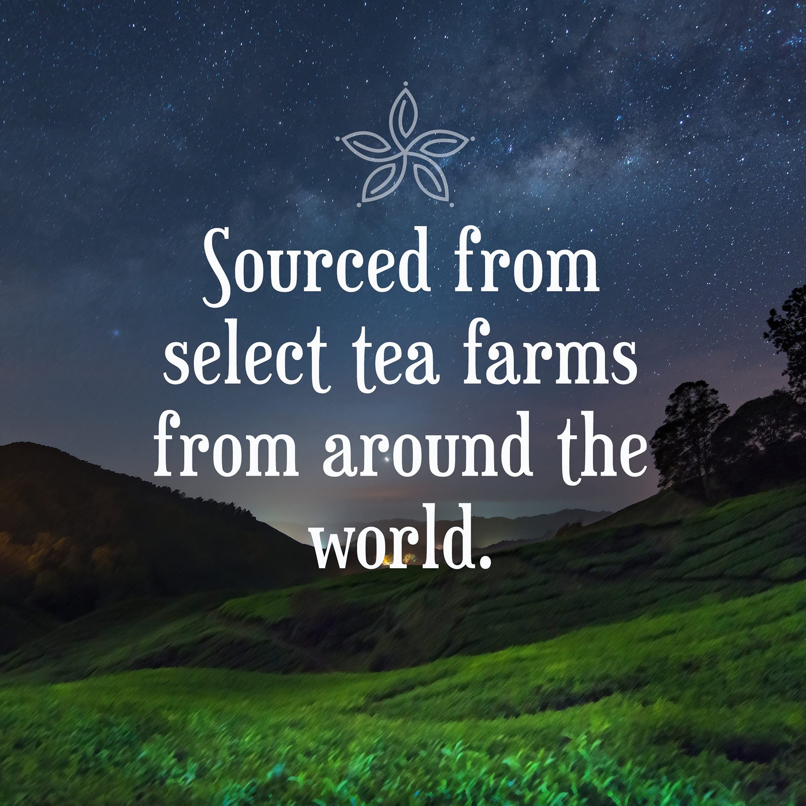 Constellation Tea Assorted Variety Pack Sampler Tea Pods Compatible with K Cu…