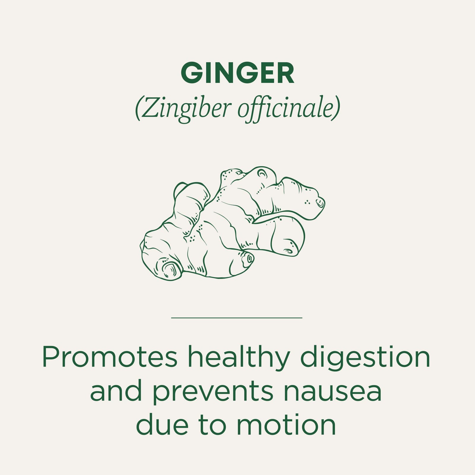 Traditional Medicinals Tea, Organic Ginger, Healthy 16 Count (Pack of 1), …