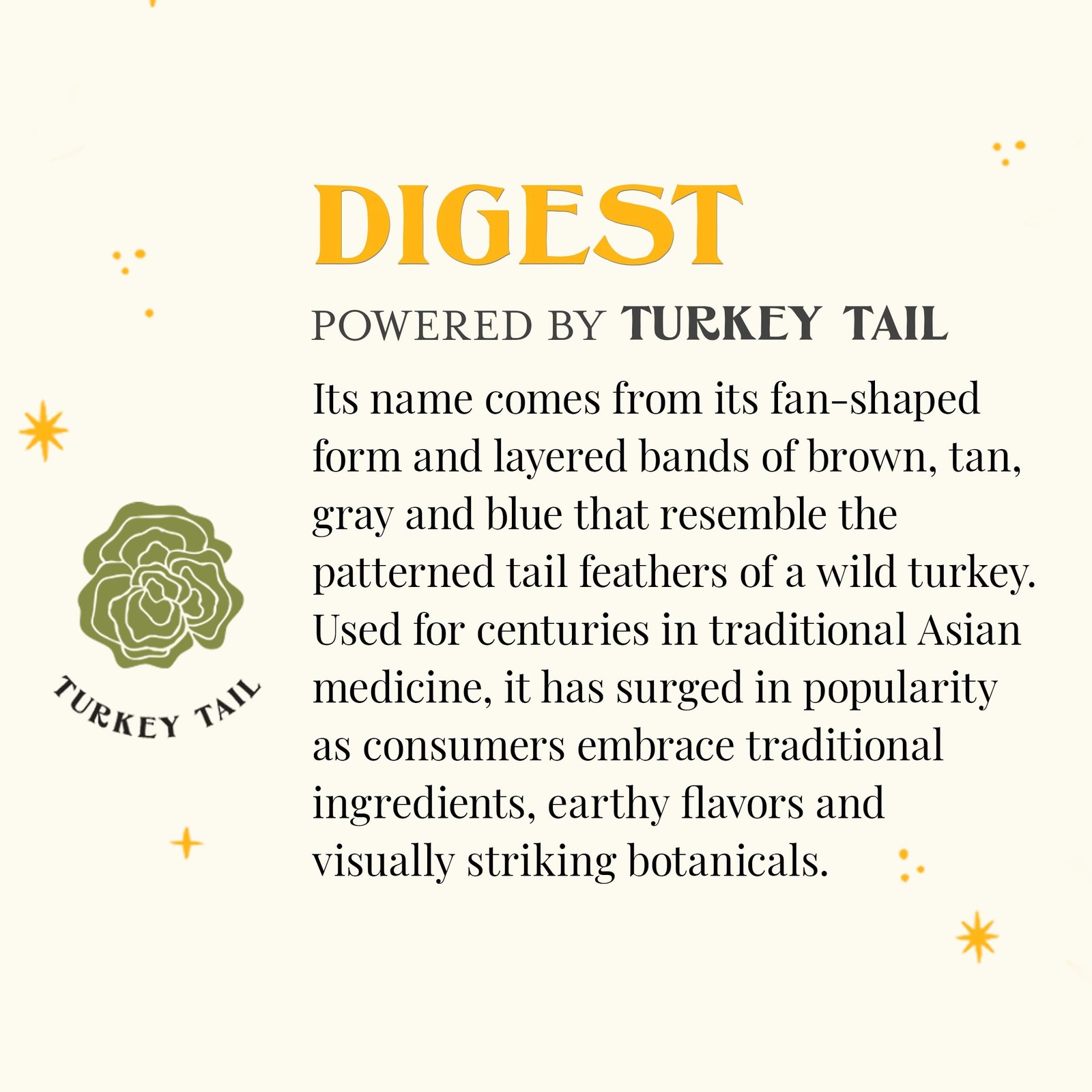 SuperShroom Digest Turkey Tail Black Tea, Organic Chicory and Caramel Notes, …