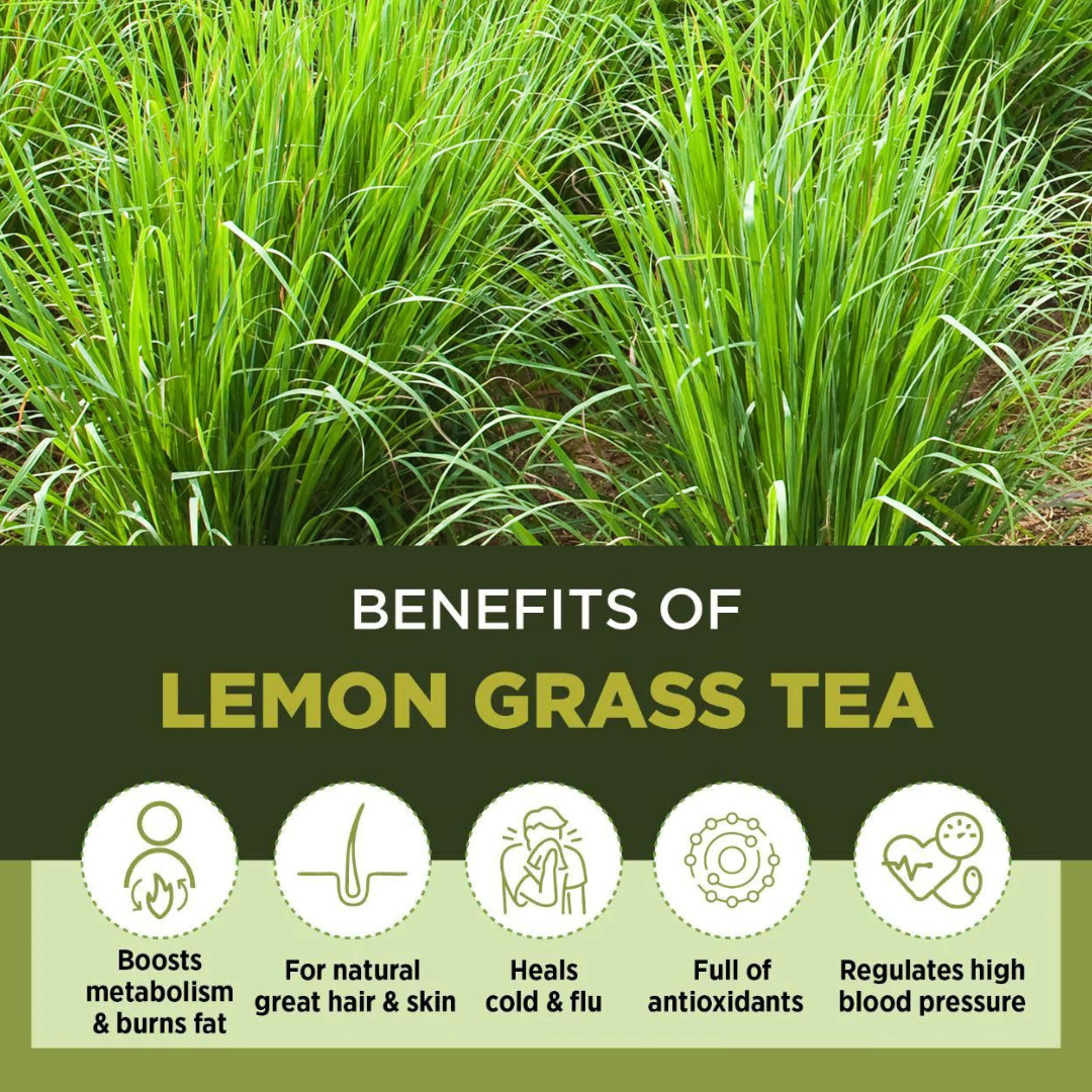 Dried Lemongrass Leaves | Organic Cut Lemon Grass Leaf | Premium Herb Spices Tea