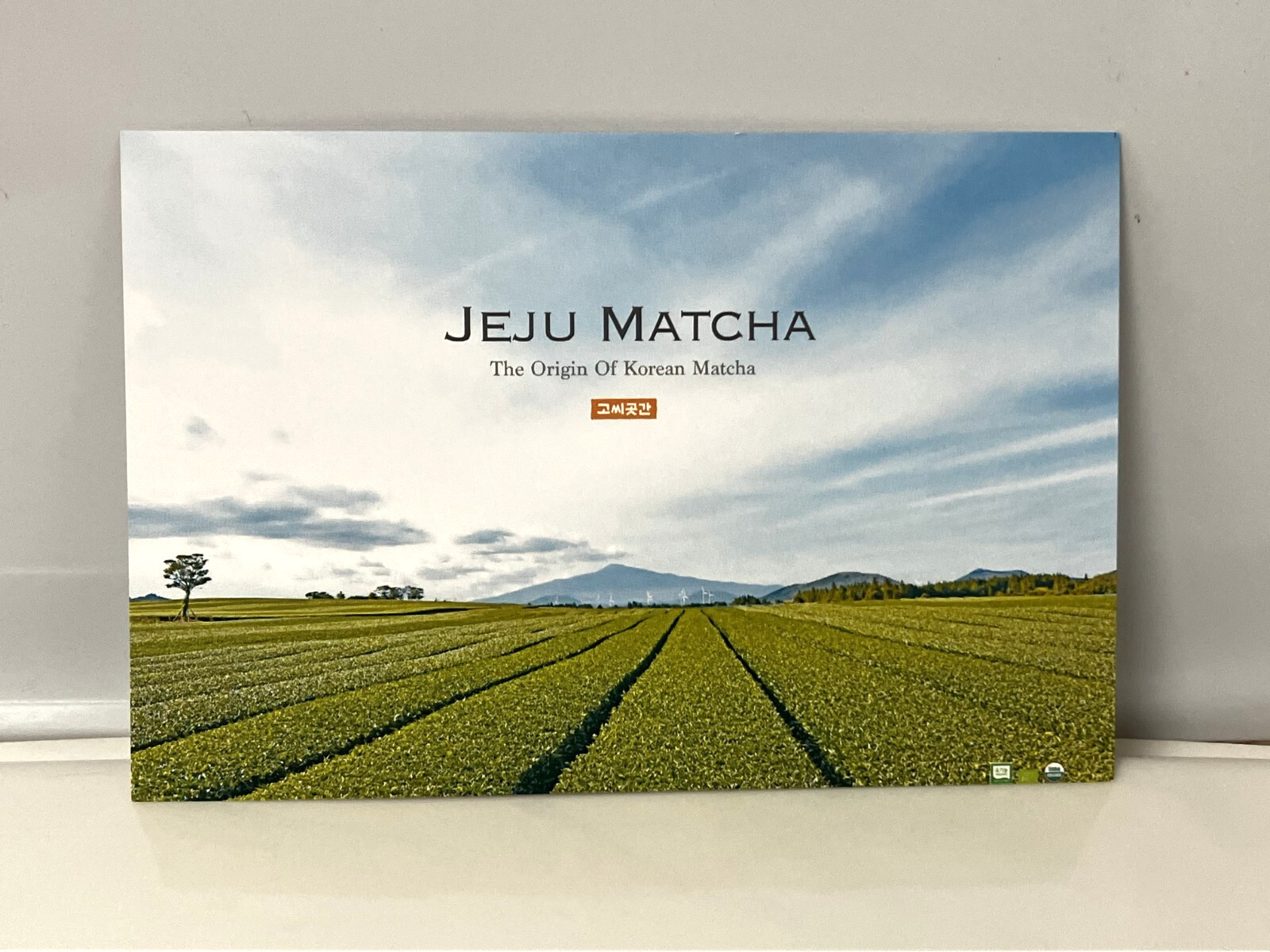 Jeju Organic Matcha Powder 1000g – Premium Korean Green Tea for Latte & Tea