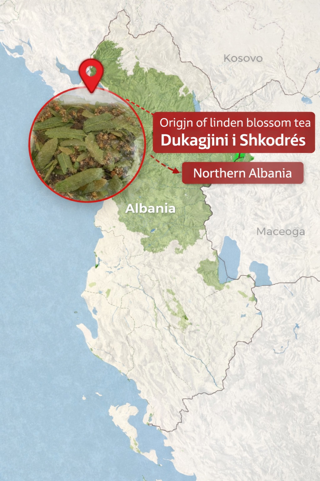 Premium Linden Blossom Tea from Dukagjini Albania – Natural Dried Lime Flowers H
