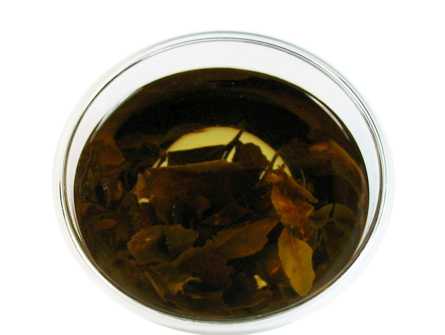 Organic Sowmee white tea loose leaf tea Wellness tea 1 LB