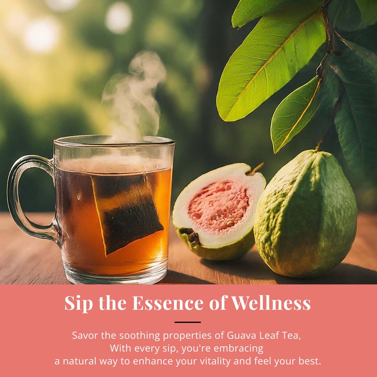 75 Guava Tea Bags, Natural Guava Leaves Tea, Té De Hojas De Guayaba, Herbal Tea