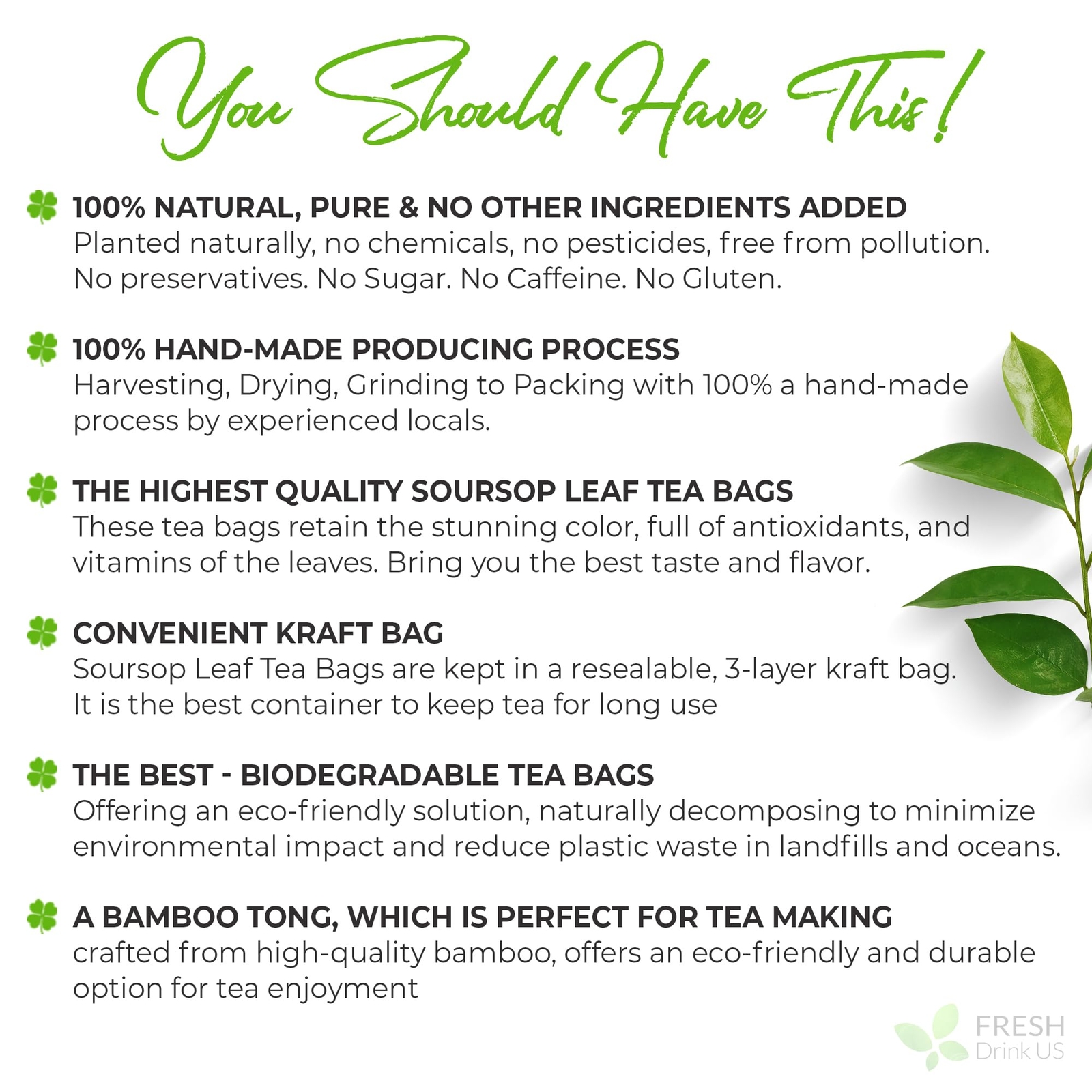 40 Premium Soursop Graviola Leaf Tea Bags 100% Natural and Pure from Soursop …