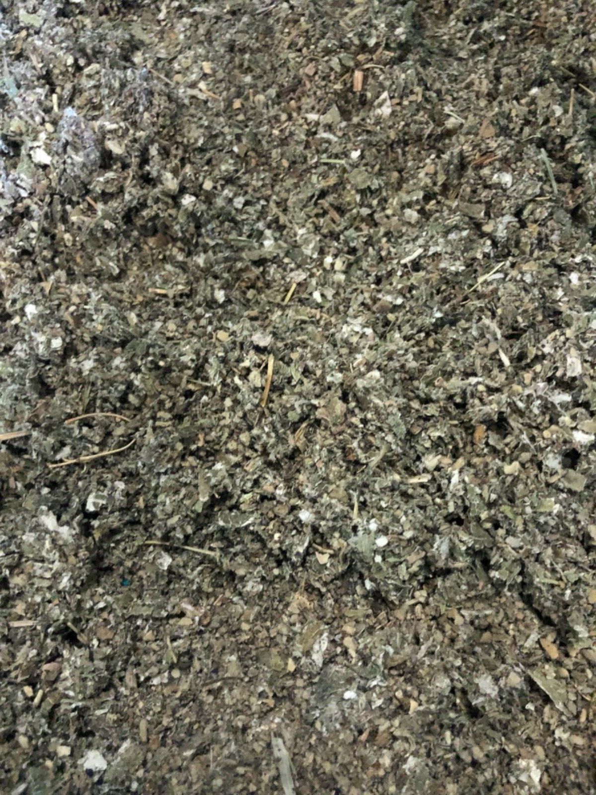 MULLEIN + RASPBERRY smokin-hot deal herb blend organic leaf tea mix -ounce POUND