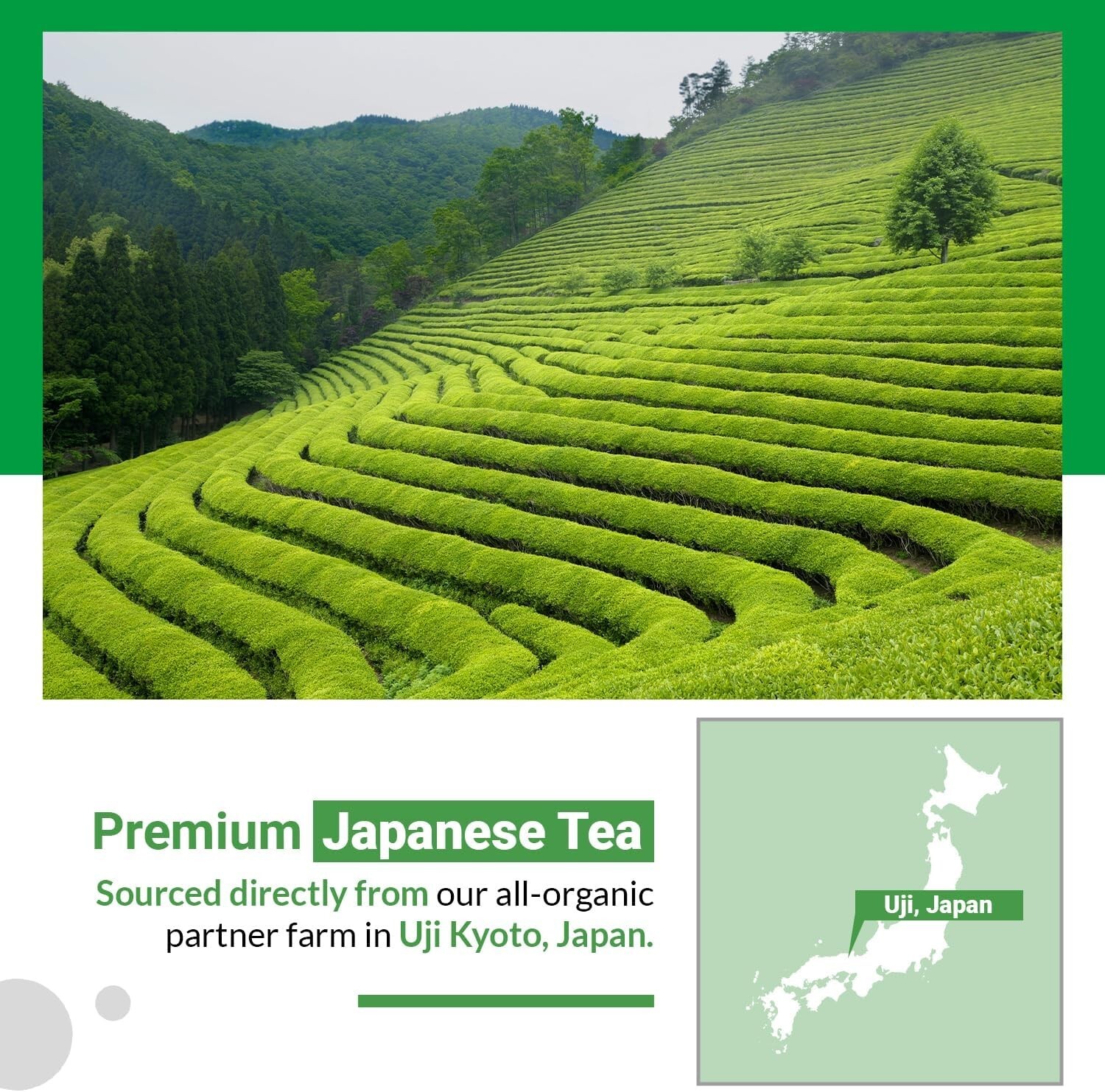 Matcha Moon Kyoto Uji Matcha Organic Additive-Free Powder 30g ×3can