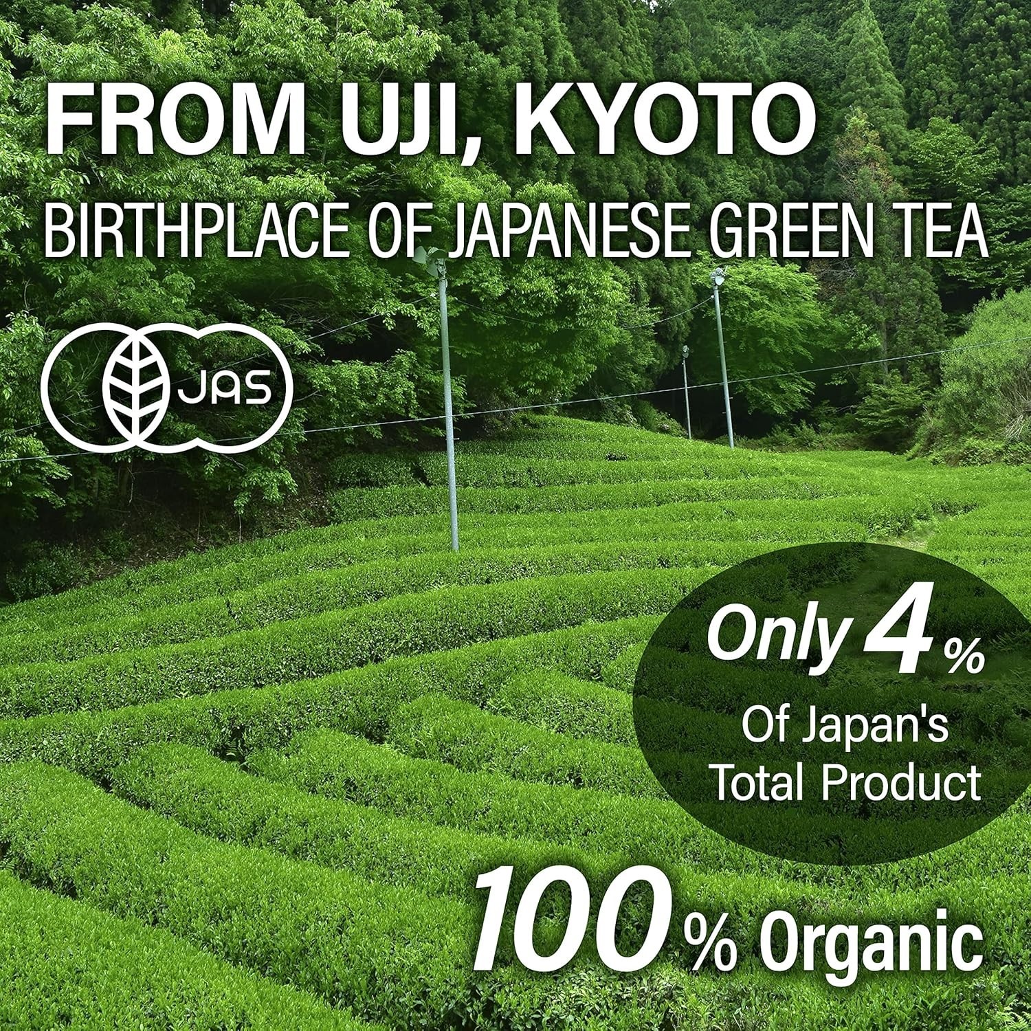 Authentic Japanese Sencha Green Tea Steamed Aromatic