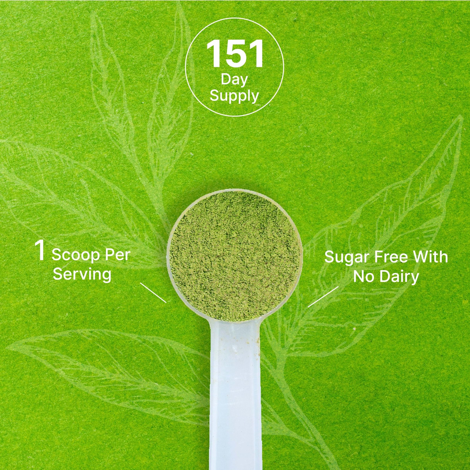 Organic Matcha Green Tea Powder, 1 lb (454g) | First Harvest, 1 Pound