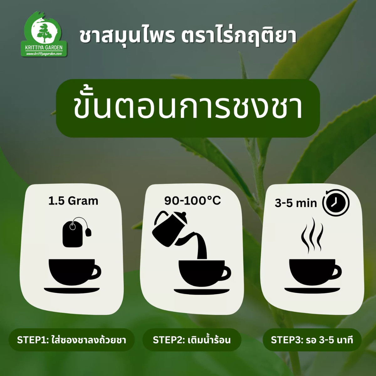 Gymnema Leaf Tea 100% Organic Herbal Tea from Thailand 36 Tea Bags x 4