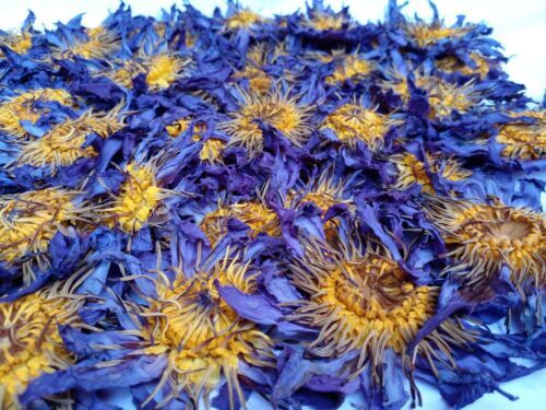 Blue Lotus Flower Nymphaea Caerulea Hand Picked Dried Natural Herbal Tea 50g
