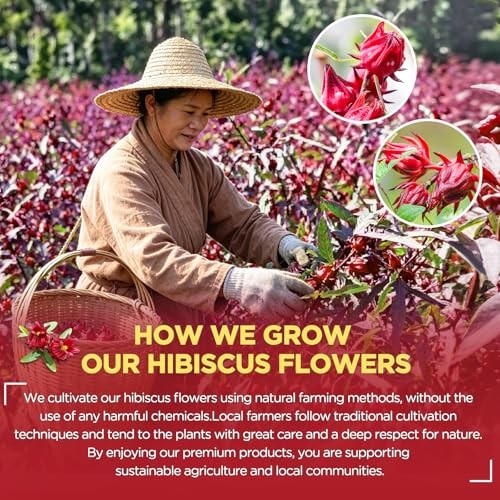 Hibiscus Tea Bags, Pure Hibiscus Tea, Caffeine Free, Prefect For Iced/Hot Tea