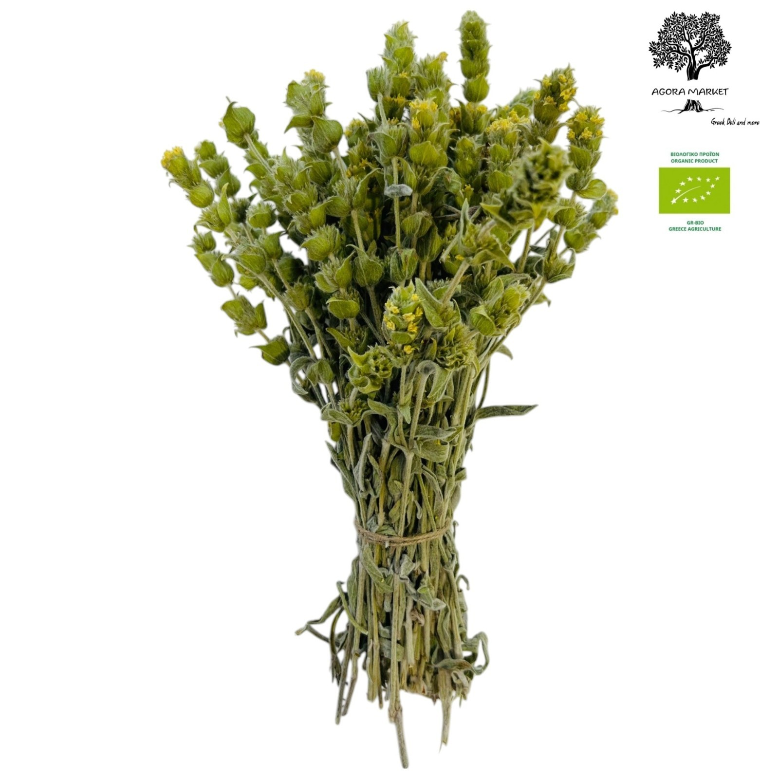 Certified Organic Greek Mountain Tea – Sideritis Syriaca Malotira Harvest 2025