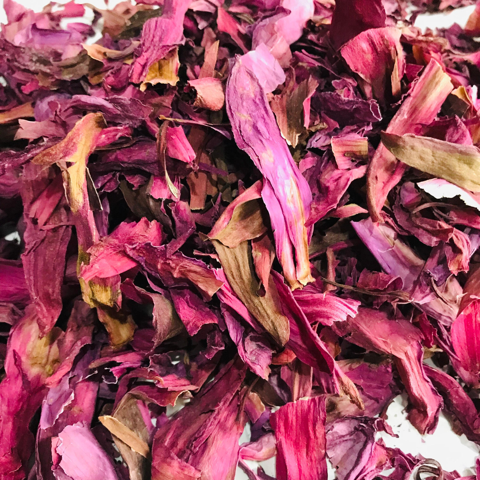 Dried Cut Red Lotus 1kg Nymphaea Rubra Flower Pure Organic Ceylon Herbal Tea