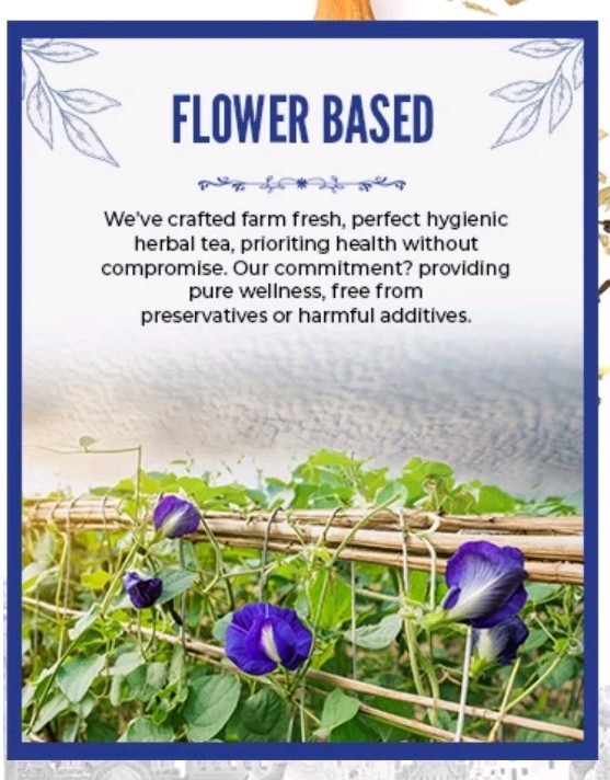 BLUE TEA Butterfly Pea Flower 30 Tea Bags Antioxidant Caffeine Free Detox Herbal