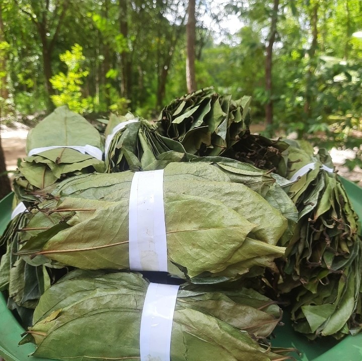 1kg ORGANIC Dried Soursop Leaf powder Annona HOJAS DE GUANABANA GRAVIOLA Herbal